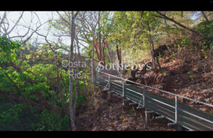 Curubande River Forest Treasure