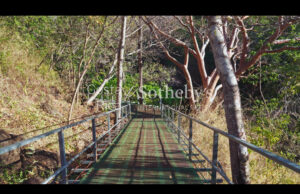 Curubande River Forest Treasure