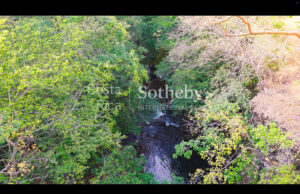 Curubande River Forest Treasure