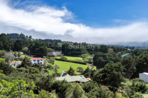 Concepción Heredia Heights
