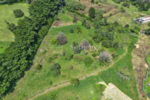 Concepción Heredia Heights