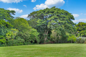 La Joya Estate