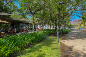 Coco Beach Beachfront Lot for Sale