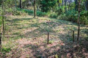Private Cul-de-Sac Lot in Playa Pelada – Walk to Beach