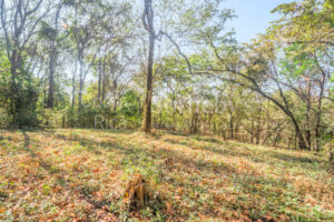 Private Cul-de-Sac Lot in Playa Pelada – Walk to Beach