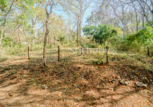 Private Cul-de-Sac Lot in Playa Pelada – Walk to Beach