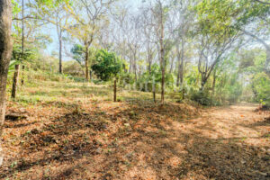 Private Cul-de-Sac Lot in Playa Pelada – Walk to Beach