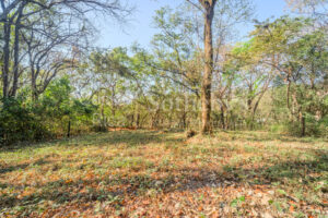 Private Cul-de-Sac Lot in Playa Pelada – Walk to Beach