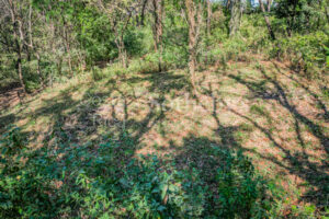 Private Cul-de-Sac Lot in Playa Pelada – Walk to Beach