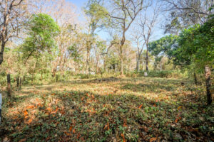Private Cul-de-Sac Lot in Playa Pelada – Walk to Beach