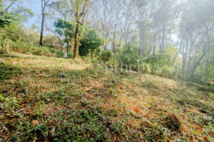 Private Cul-de-Sac Lot in Playa Pelada – Walk to Beach