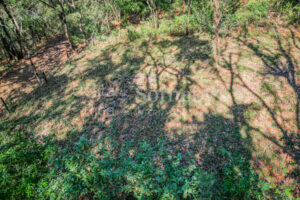 Private Cul-de-Sac Lot in Playa Pelada – Walk to Beach