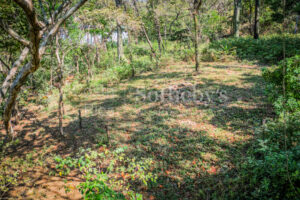 Private Cul-de-Sac Lot in Playa Pelada – Walk to Beach