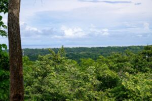 104.7 Hectares of Development Potential in Marbella