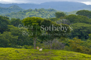 104.7 Hectares of Development Potential in Marbella