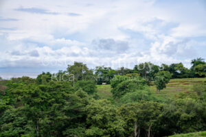 104.7 Hectares of Development Potential in Marbella