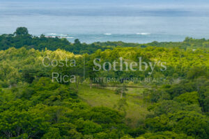 104.7 Hectares of Development Potential in Marbella