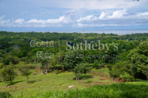 104.7 Hectares of Development Potential in Marbella