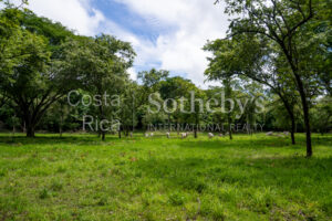 104.7 Hectares of Development Potential in Marbella