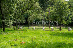104.7 Hectares of Development Potential in Marbella