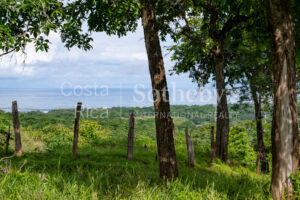 104.7 Hectares of Development Potential in Marbella