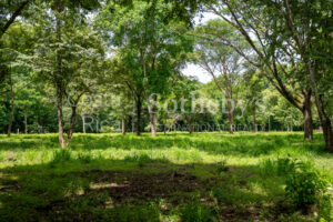 104.7 Hectares of Development Potential in Marbella