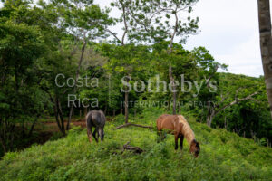 104.7 Hectares of Development Potential in Marbella