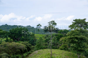 104.7 Hectares of Development Potential in Marbella