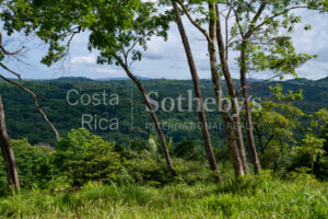 104.7 Hectares of Development Potential in Marbella