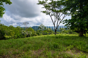 104.7 Hectares of Development Potential in Marbella