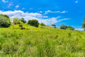 Vistamar Esparza Development Land