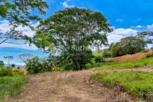 Vistamar Esparza Development Land