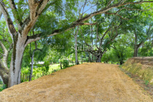 Vistamar Esparza Development Land