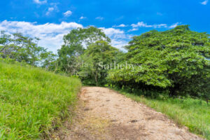 Vistamar Esparza Development Land