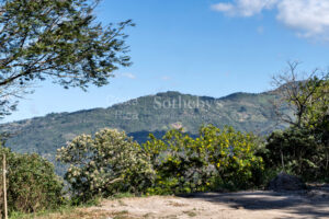 Best Deal Lot In Condominuim Montaña del Sol