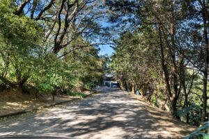 Best Deal Lot In Condominuim Montaña del Sol