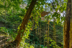 Casa Tula