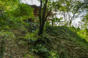 Casa Tula