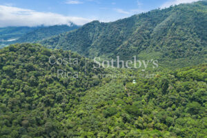Centro Científico para la Conservación Bosque de Paz