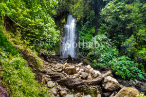 Centro Científico para la Conservación Bosque de Paz
