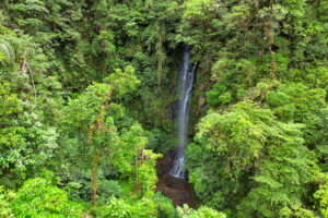 Centro Científico para la Conservación Bosque de Paz
