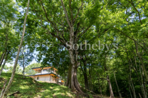 Playa Pelada Large Property