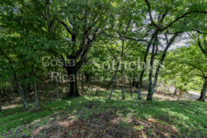 Playa Pelada Large Property