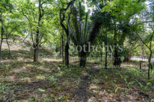 Playa Pelada Large Property