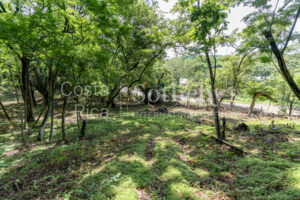 Playa Pelada Large Property