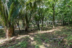 Playa Pelada Large Property
