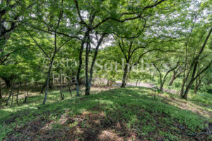 Playa Pelada Large Property
