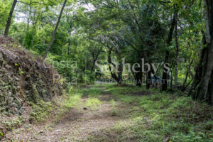Playa Pelada Large Property