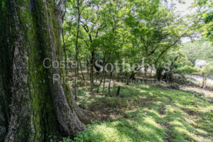 Playa Pelada Large Property