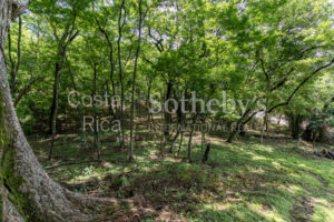 Playa Pelada Large Property